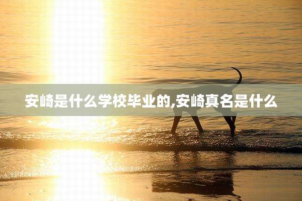 安崎是什么学校毕业的,安崎真名是什么