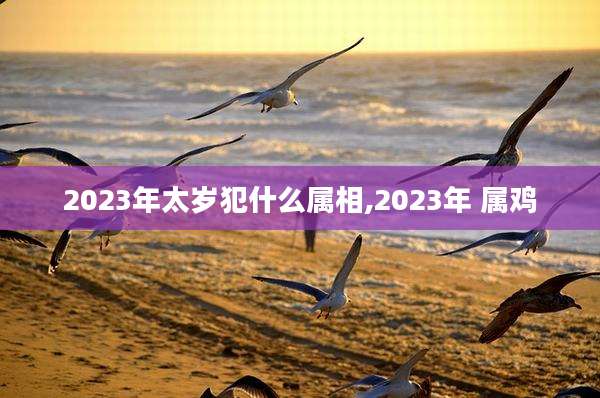2023年太岁犯什么属相,2023年 属鸡
