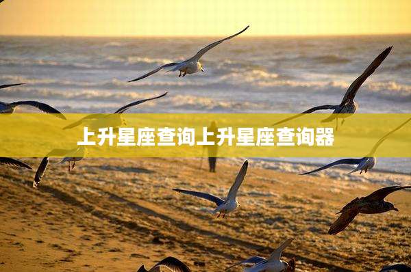 上升星座查询上升星座查询器