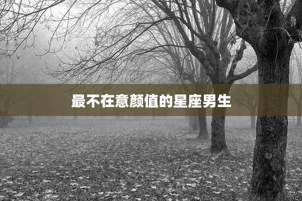 最不在意颜值的星座男生