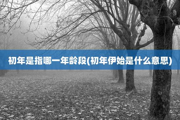 初年是指哪一年龄段(初年伊始是什么意思)