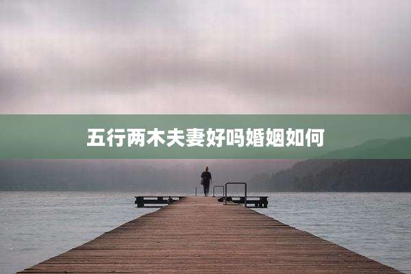 五行两木夫妻好吗婚姻如何