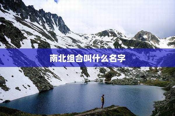 南北组合叫什么名字