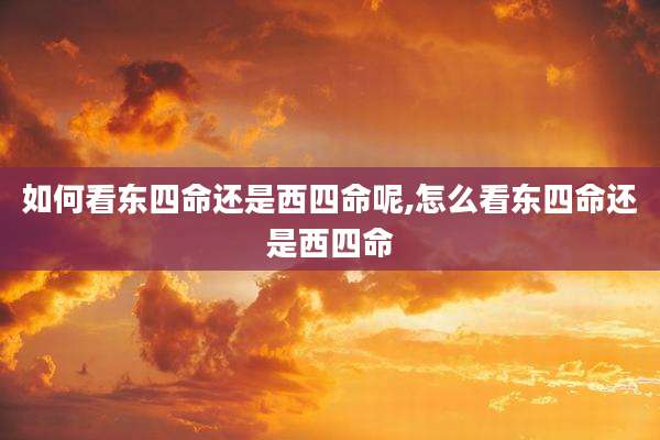 如何看东四命还是西四命呢,怎么看东四命还是西四命