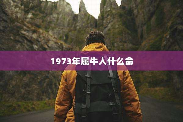 1973年属牛人什么命