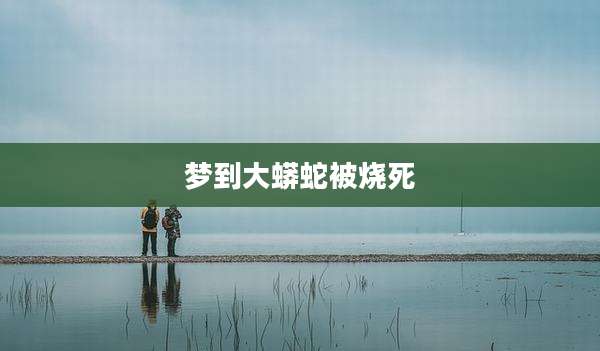 梦到大蟒蛇被烧死