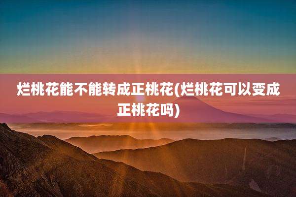 烂桃花能不能转成正桃花(烂桃花可以变成正桃花吗)