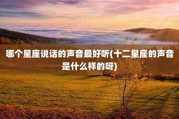 哪个星座说话的声音最好听(十二星座的声音是什么样的呀)