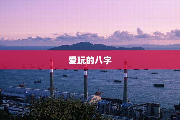 爱玩的八字