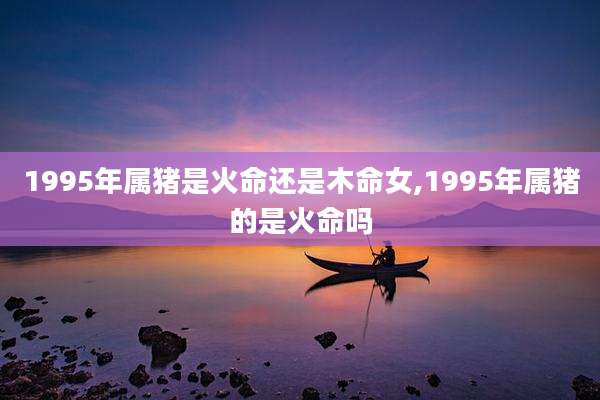1995年属猪是火命还是木命女,1995年属猪的是火命吗
