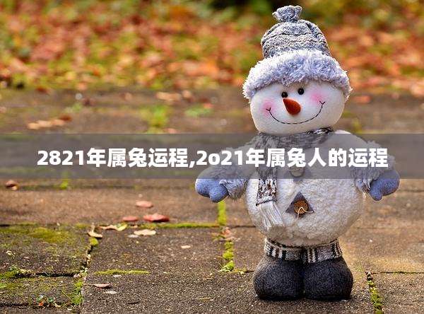 2821年属兔运程,2o21年属兔人的运程