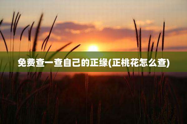 免费查一查自己的正缘(正桃花怎么查)