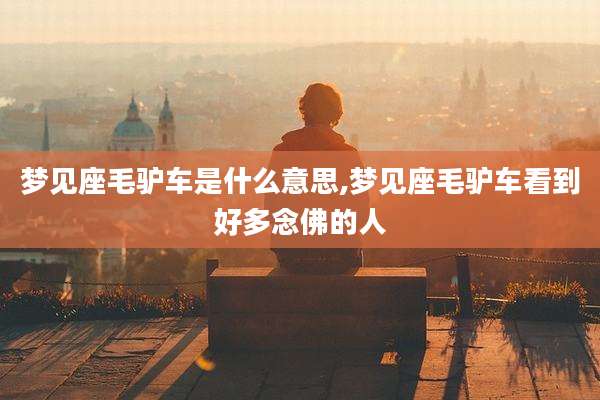 梦见座毛驴车是什么意思,梦见座毛驴车看到好多念佛的人