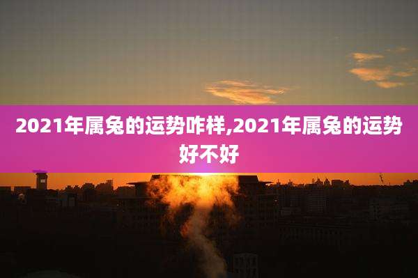 2021年属兔的运势咋样,2021年属兔的运势好不好