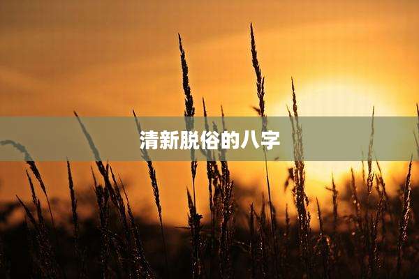清新脱俗的八字
