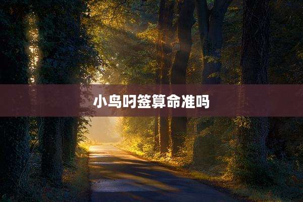 小鸟叼签算命准吗