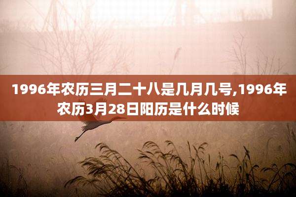 1996年农历三月二十八是几月几号,1996年农历3月28日阳历是什么时候