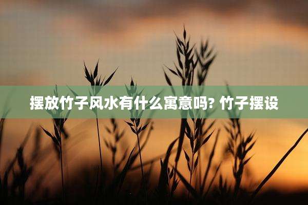 摆放竹子风水有什么寓意吗? 竹子摆设
