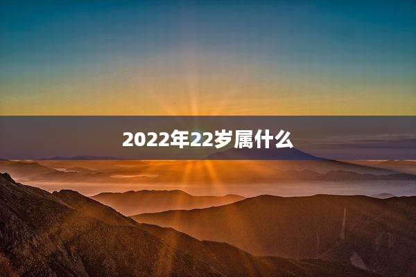 2022年22岁属什么