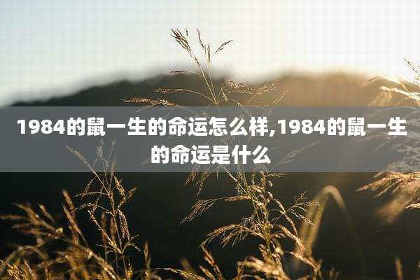 1984的鼠一生的命运怎么样,1984的鼠一生的命运是什么