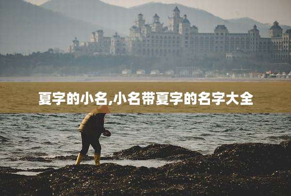 夏字的小名,小名带夏字的名字大全