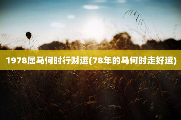 1978属马何时行财运(78年的马何时走好运)
