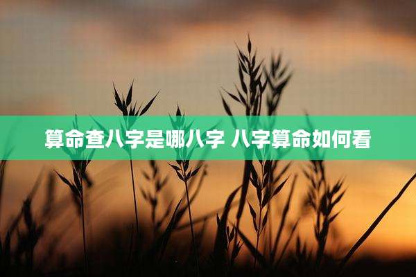 算命查八字是哪八字 八字算命如何看