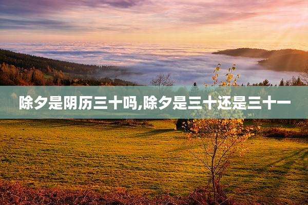 除夕是阴历三十吗,除夕是三十还是三十一