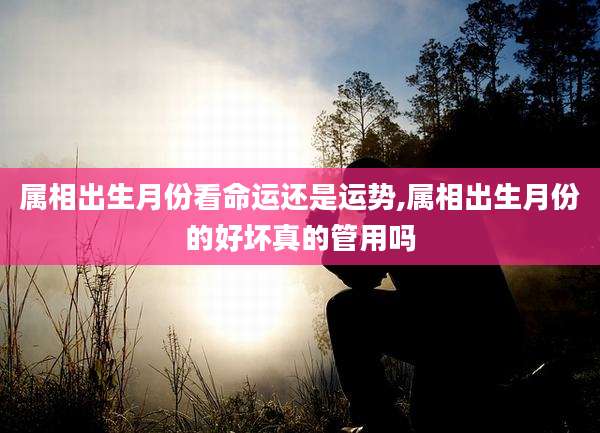 属相出生月份看命运还是运势,属相出生月份的好坏真的管用吗