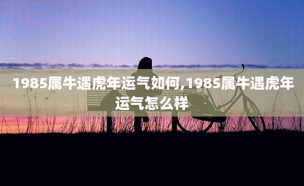 1985属牛遇虎年运气如何,1985属牛遇虎年运气怎么样