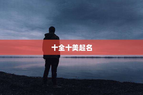 十全十美起名