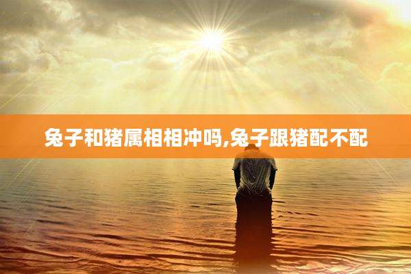 兔子和猪属相相冲吗,兔子跟猪配不配