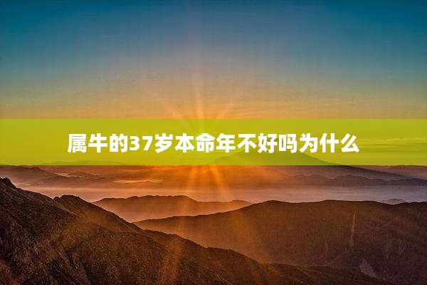 属牛的37岁本命年不好吗为什么