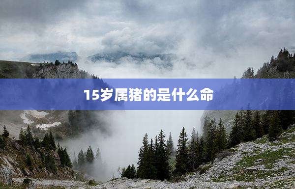 15岁属猪的是什么命
