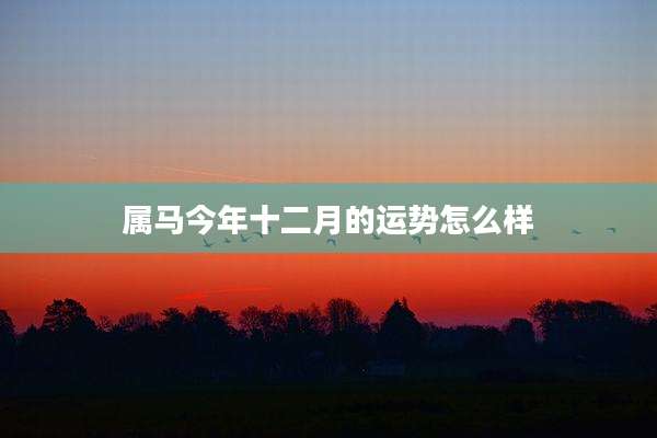 属马今年十二月的运势怎么样