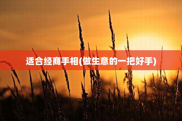 适合经商手相(做生意的一把好手)