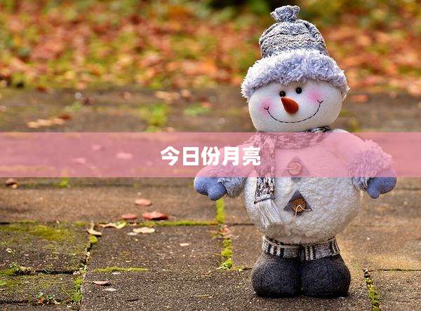 今日份月亮