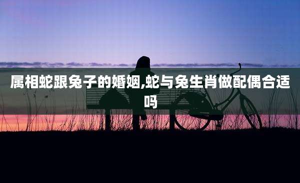 属相蛇跟兔子的婚姻,蛇与兔生肖做配偶合适吗