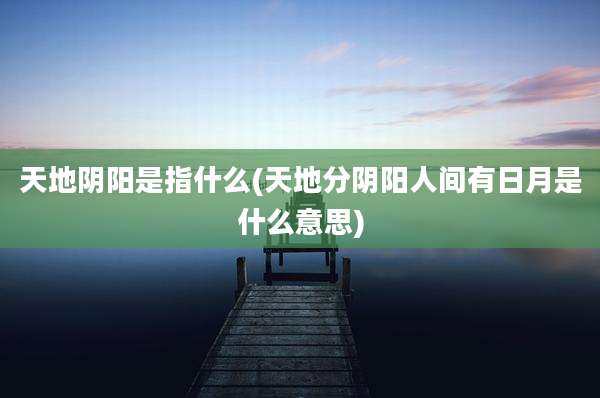 天地阴阳是指什么(天地分阴阳人间有日月是什么意思)