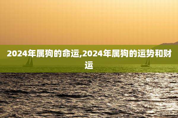 2024年属狗的命运,2024年属狗的运势和财运