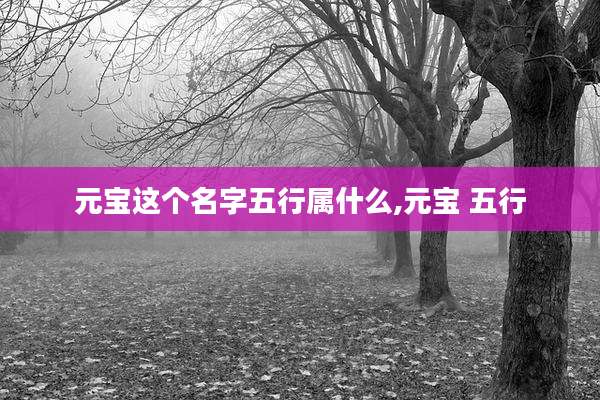 元宝这个名字五行属什么,元宝 五行