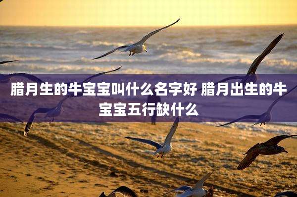 腊月生的牛宝宝叫什么名字好 腊月出生的牛宝宝五行缺什么