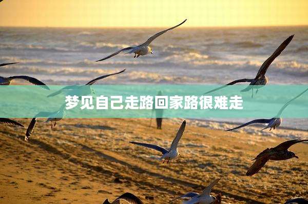 梦见自己走路回家路很难走