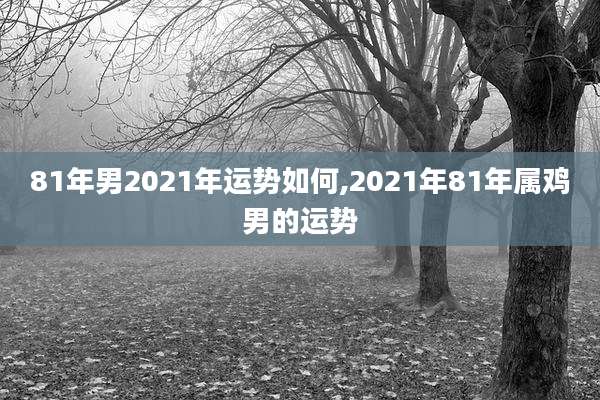 81年男2021年运势如何,2021年81年属鸡男的运势