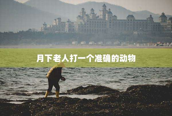 月下老人打一个准确的动物