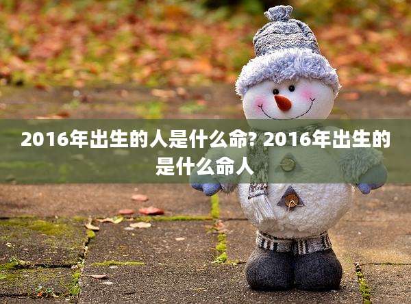 2016年出生的人是什么命? 2016年出生的是什么命人