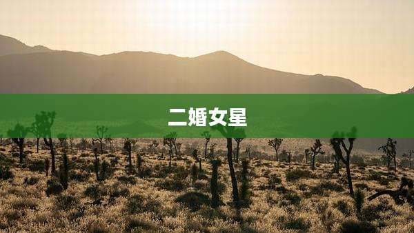 二婚女星