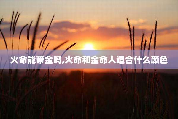 火命能带金吗,火命和金命人适合什么颜色