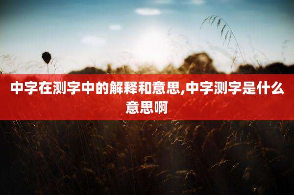 中字在测字中的解释和意思,中字测字是什么意思啊