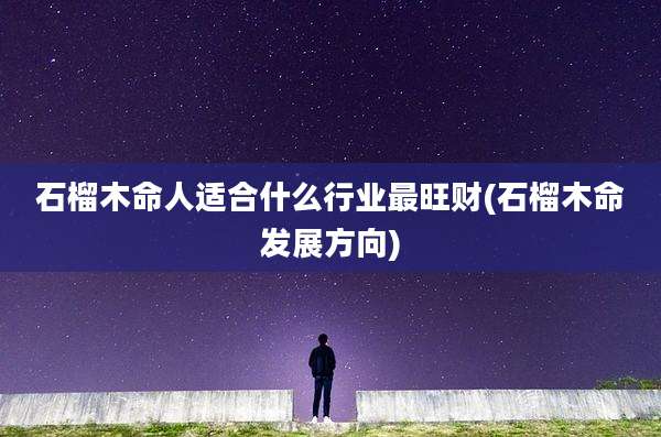 石榴木命人适合什么行业最旺财(石榴木命发展方向)